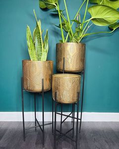 Modern Black Metal <b>Planter</b> with Circular Pattern and Tripod Stand for Indoor Use - Product Image 6
