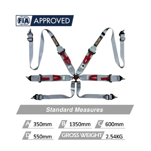 Harnais de sécurité TBRACING SPORT S 6 points FIA à dégagement rapide avec verrouillage à came en aluminium, logo personnalisé, commande en gros, marque, vente en gros - Product Image 3