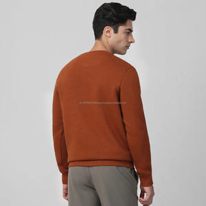 Suéter de rizo de invierno de alta calidad para hombre, gota de algodón liso personalizado con logotipo en relieve, Sudadera con cuello redondo, sudaderas con capucha, envío DDP - Product Image 3