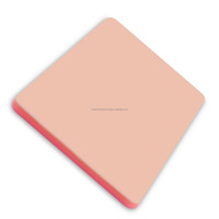 Coussin d'entraînement à la suture à 3 couches pour la formation en diagnostic vétérinaire, modèle de peau humaine, coussin de suture durable, fournisseur en gros