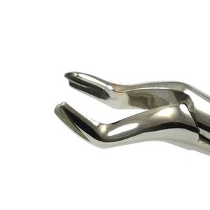 Achetez des forceps chirurgicaux pour l'extraction dentaire Fig.53L pour les molaires supérieures, avec poignée dentelée antidérapante, forceps d'extraction. - Product Image 6