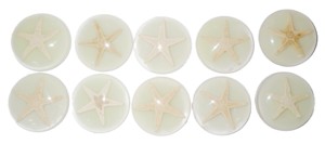Cabochon rond en plastique avec spécimen réel d'étoile de mer, 35x35 mm, fond plat, luminescent, pour artisanat et fabrication de bijoux - Product Image 1