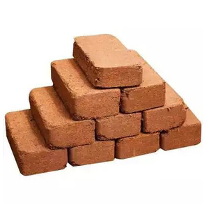 Bloques de Turba de Coco 5kg 650grm 25 kg al Precio Más Bajo con Calidad Premium para Compradores con Fines Agrícolas, Turba de Coco Cuadrada - Product Image 3