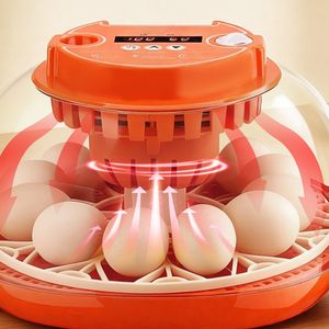 Incubatrice per 12 Uova con Illuminatore LED Automatico e Controllo Temperatura/Umidità, Finestra Trasparente a 360° per l'Osservazione e la Cura del Pollame - Product Image 3