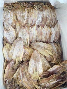 Calamars séchés écologiques de haute qualité, riches en protéines, savoureux, best-sellers, collation de fruits de mer, export direct d'usine - Product Image 2