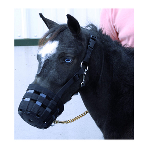 Muserolle en cuir et sangle en nylon respirante et confortable pour chevaux, avec attache rapide pliable, rembourrage anti-frottement en caoutchouc – Vente en gros usine - Product Image 4