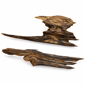 Meilleures ventes : Copeaux d'agarwood naturel indien, encens Oud, bois aromatique, parfum longue durée, disponible au prix de gros - Product Image 1