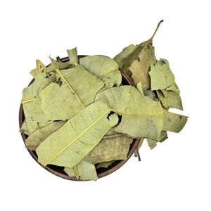 ราคาดี ลดราคาถูก คุณภาพสูง ราคาสุดคุ้ม ใบมะม่วงอบแห้ง สมุนไพรชงชาขายดี ผงสกัดใบมะม่วง 99 GD - Product Image 1