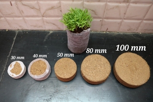 Exportador B2B confiable de pellets de fibra de coco comprimida, ecológicos y biodegradables, procedentes de la India. - Product Image 2