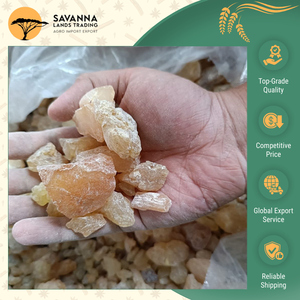 El Mejor Distribuidor del Mundo Ofrece Goma Copal de Calidad Excepcional para Incienso y Productos de Fragancia al Mejor Precio del Mercado - Product Image 2