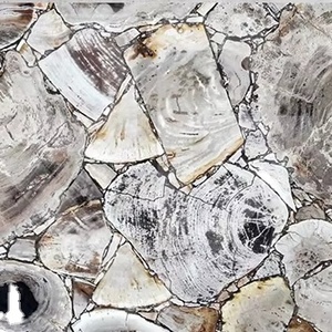 Carreaux de pierre écologiques en bois pétrifié pour la décoration intérieure moderne et antique, installation autocollante pour l'intérieur des villas - Product Image 1