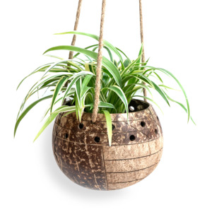 Plant holder <b>pot</b> <b>stand</b> outdoor indoor flower <b>pots</b> for sale sustainable coconut shell planter - Product Image 4