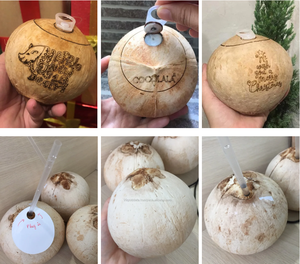 Noix de coco fraîche du Vietnam, fabriquée à partir de fibres de noix de coco naturelles, pour la transformation de boissons commerciales. - Product Image 6