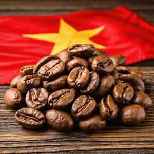 เมล็ดกาแฟเวียดนามโรบัสต้าและอาราบิก้า คั่วเต็มเมล็ดหรือบดละเอียด รสชาติเข้มข้น กาแฟพรีเมียมสำหรับเอสเพรสโซ คาเฟ่ บิสโทร ขายส่ง - Product Image 6