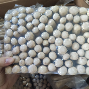 Juguete masticable de madera de café natural de Vietnam para mascotas, ideal para masticadores agresivos y para promover actividades diarias de juego. - Product Image 4