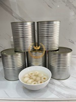OEM vietnamien ODM emballé en conserve litchi fruits de haute qualité Lichi conservé fraîcheur pour iceream ou boire