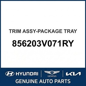 ชุดแต่งตัวถังและขอบประตูรถยนต์ Grandeur/Azera รุ่นใหม่ 856203V071RY - Product Image 1