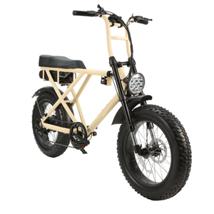 Vélo à double moteur de 20 pouces haut de gamme à vendre - Product Image 2
