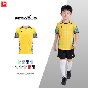 เสื้อฟุตบอลสั่งทำพิเศษ แห้งเร็ว ระบายอากาศได้ดี สำหรับผู้ชาย ผู้หญิง เด็ก ชุดทีม OEM ODM หลายสี ลายเพกาซัส - Product Image 3