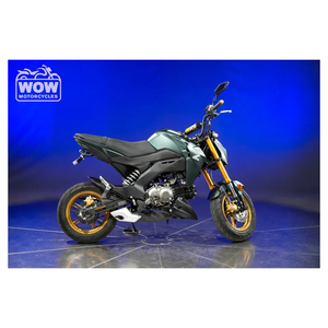 คาวาซากิ วัลแคน 900 ปี 2009 - Product Image 1