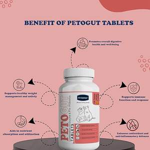 Suplemento Probiótico para la Salud Intestinal de Perros y Gatos, Marca Privada OEM, Apoya la Inmunidad y la Alergia a la Piel - Product Image 4