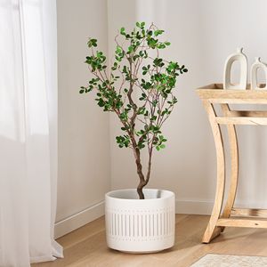 Bonsai Artificiale Milan Leaf da 47,2 Pollici, Prodotto di Piante e Vegetazione Artificiale - Product Image 1