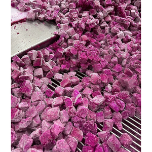 Fruta del Dragón Roja Orgánica Congelada IQF y Pitaya Blanca en Paquete a Granel, Fruta del Dragón Congelada Fresca y Natural - Product Image 3