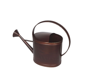 Arrosoir décoratif en fer de qualité supérieure pour l'arrosage des plantes de balcon et la décoration du jardin - Product Image 3