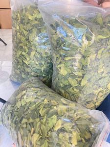 Fragrant <b>Dried</b> Kaffir <b>Lime</b> Leaves for Hotpot Stir Fry Soup and Seafood Preparation Needs - Product Image 5