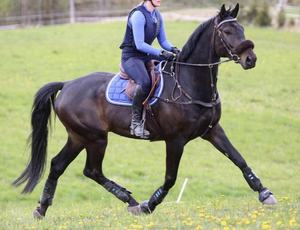 Gants de sport de course équestre personnalisés de haute qualité pour l'équitation Tissu polyester avec logo personnalisé OEM disponible - Product Image 5