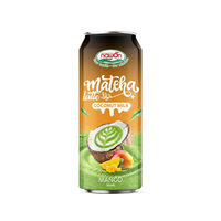 Latte au matcha, mangue tropicale et lait de coco, boisson prête à boire, infusée aux fruits, pressée fraîchement, à base de plantes, pour commande en gros, jus en vrac