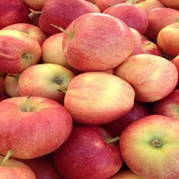 2026 Nieuwe voorraad groothandel verse rode Fuji appels, verse Royal Gala en Red Delicious appels, verse prijs
