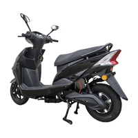 Fabricant Chinois Moto Électrique Adulte CKD Haute Vitesse 1000W à Vendre