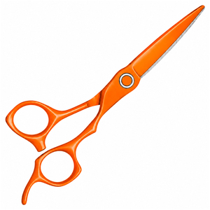 Ciseaux de coiffure professionnels de 6 pouces en acier inoxydable pour salon, ciseaux à barbe et à cheveux, marque distributeur, vente chaude - Product Image 1