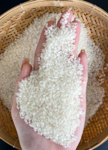 ข้าวขาวแห้งชนิดเมล็ดสั้นแตก 100% ของวิลาโคนิค เนื้อแข็ง กลิ่นหอมตามธรรมชาติ ปลอดจีเอ็มโอ ผลิตในเวียดนาม สำหรับใช้ในอาหาร - Product Image 3