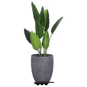 20 Carretillas de Transporte con 8 Ruedas de Polipropileno Negro, Capacidad de 330.7 lb - Product Image 2