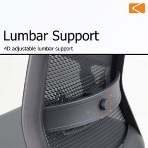 Chaise de bureau ergonomique en maille avec support lombaire 4D réglable, dossier ouvert, pivotante, base métallique, style moderne, pour la maison - Product Image 6