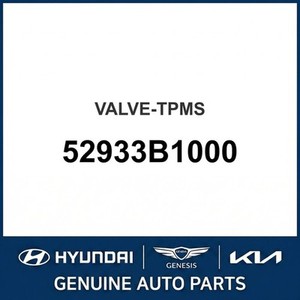 Nuevas Piezas y Accesorios para Autos y Camiones 52933B1000 - Product Image 1