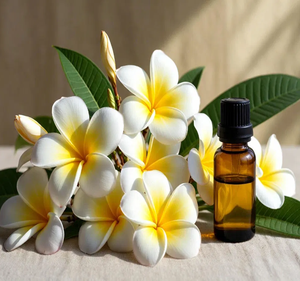 Aceite Esencial de Flor de Frangipani OEM de Primera Calidad, Aceite de Aromaterapia para Difusores, Cuidado Corporal y Fragancia, Suministro al por Mayor - Product Image 2