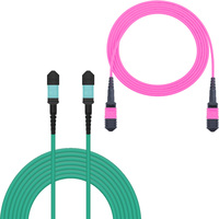 Cordon de brassage optique MPO MTP personnalisé 12-24 fibres OM3 SM LSZH POE TCP GPRS pour centre de données FTTH