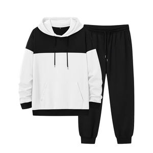 Conjuntos Deportivos de Hombre con Capucha, Personalizados con Logotipo, de Alta Calidad, 2 Piezas, Ropa Deportiva Informal de Invierno, 100% Algodón, 220g, Venta al Por Mayor OEM - Product Image 1