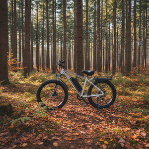 中国工厂电动货运车<span class=keywords><strong>2</strong></span>轮宽胎成人城市山地越野48V折叠电动自行车电动自行车 - Product Image 6