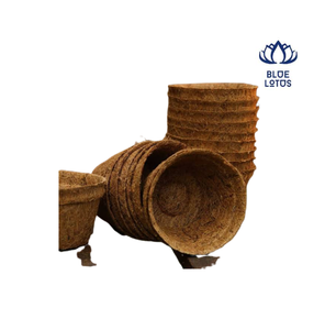 Blue Lotus Coir Flower Pots Biodegradable Eco-Friendly Durable <b>Planters</b> Garden Use <b>Square</b> Design Not Coated Vintage Classic - Product Image 1