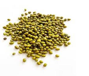 Haricots mungo verts secs pour le marché africain - Product Image 2