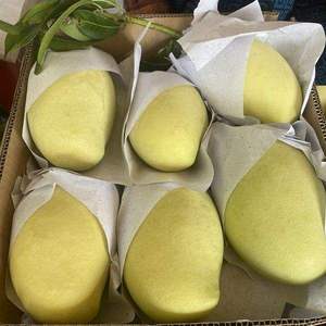Mangues surgelées IQF de haute qualité en provenance du Vietnam, en vrac, emballées sous vide, marque privée, fournisseur de fruits OEM, HACCP/ISO - Product Image 3