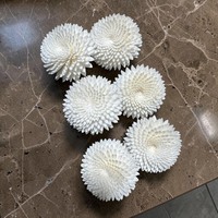VADEE SOLA WOOD FLOWER Krisan Salju Putih 003 Kerajinan Tangan Ramah Lingkungan dari Kayu Sola Tanaman Sesbania Paket Diffuser Reed