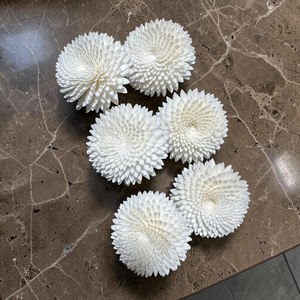 VADEE SOLA WOOD <b>FLOWER</b> White Snow Ranunculus Reed <b>Diffuser</b> <b>Flower</b> Bundle Replacement Handmade Sustainable Dried - Product Image 4