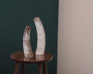 Porte-plantes artisanal en corne, artisanat naturel, récipient rustique pour la décoration de la maison - Product Image 5