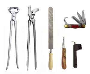 Kit de dissection pour oiseaux 14 pièces – Instruments chirurgicaux manuels réutilisables en acier inoxydable pour étudiants en médecine vétérinaire – Haute qualité n°1 - Product Image 4