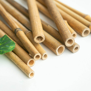Vietnam supplier eco-friendly materials for <b>gardening</b> natural bamboo pole sticks raw <b>cane</b> poles - Product Image 3